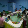 湖北大型兒童游泳池價格生產設備廠家供水育早教圓形兒童游泳池
