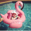 一件代發 現貨 預定火烈鳥兒童游泳圈寶寶白天鵝火裂鳥造型游泳圈