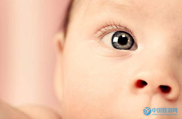 QQ截圖20170825120211