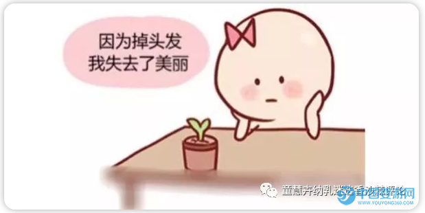 花開的季節，跟童慧一起學習賞花 納乳迷迭香 童慧納乳迷迭香的優勢2