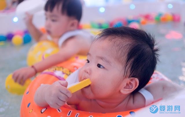 考嬰兒游泳水育師資格證需要多少錢？報名入口在哪兒？都考什么？ 水育師資格證報名入口 嬰兒游泳水育師培訓 水育師在哪里考試2