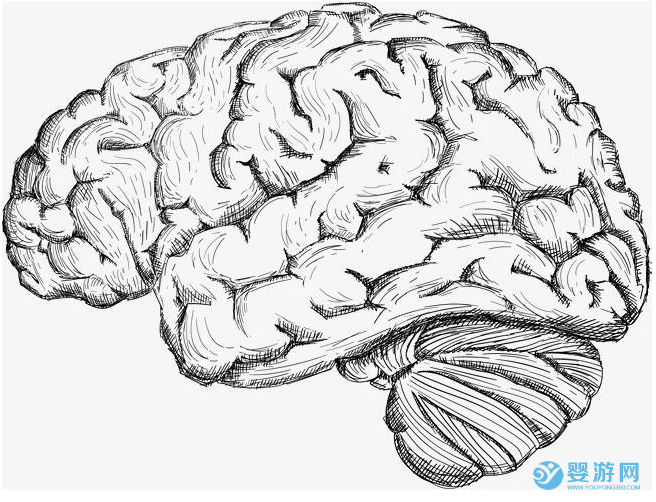 吃核桃真的能補腦嗎