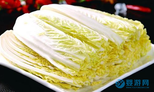 如何挑選新鮮可靠的娃娃菜